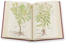 De Historia Stirpium - Leonhart Fuchs – Aboca Museum – Bibliotheca Antiqua di Aboca Museum (Sansepolcro, Italy)