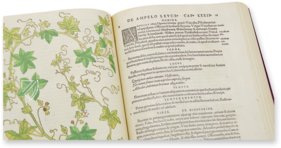 De Historia Stirpium - Leonhart Fuchs – Aboca Museum – Bibliotheca Antiqua di Aboca Museum (Sansepolcro, Italy)