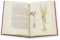 De Historia Stirpium - Leonhart Fuchs – Biblioteca Antiqua di Aboca Museum (Sansepolcro, Italy) Facsimile Edition