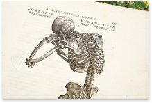 De Humani Corporis Fabrica - Andreas Vesalius – Orbis Pictus – Biblioteka Uniwersytecka Mikołaj Kopernik w Toruniu (Toruń, Poland)