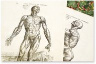 De Humani Corporis Fabrica - Andreas Vesalius – Orbis Pictus – Biblioteka Uniwersytecka Mikołaj Kopernik w Toruniu (Toruń, Poland)