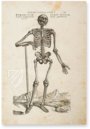 De Humani Corporis Fabrica - Andreas Vesalius – Orbis Pictus – Biblioteka Uniwersytecka Mikołaj Kopernik w Toruniu (Toruń, Poland)