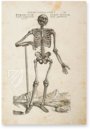 De Humani Corporis Fabrica - Andreas Vesalius – Orbis Pictus – Biblioteka Uniwersytecka Mikołaj Kopernik w Toruniu (Toruń, Poland)