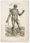 De Humani Corporis Fabrica - Andreas Vesalius – Orbis Pictus – Biblioteka Uniwersytecka Mikołaj Kopernik w Toruniu (Toruń, Poland)