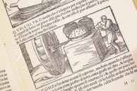 De la Pirotechnia - Second Edition – Circulo Cientifico – RBME Mª 8-II-3 – Real Biblioteca del Monasterio de San Lorenzo de El Escorial (San Lorenzo de El Escorial, Spain)