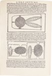 De la Pirotechnia - Second Edition – Circulo Cientifico – RBME Mª 8-II-3 – Real Biblioteca del Monasterio (San Lorenzo de El Escorial, Spain)