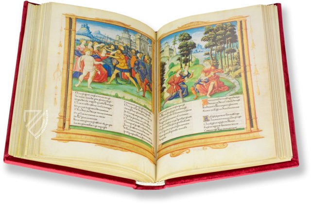 Der Rosenroman für François I (Normal Edition) Facsimile Edition