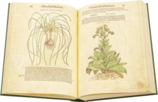 Discorsi di P. A. Mattioli Illustrated by Gherardo Cibo – Aboca Museum – Rari 278 – Biblioteca Alessandrina (Rome, Italy)
