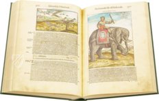 Discorsi di P. A. Mattioli Illustrated by Gherardo Cibo – Aboca Museum – Rari 278 – Biblioteca Alessandrina (Rome, Italy)