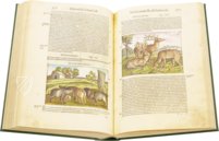Discorsi di P. A. Mattioli Illustrated by Gherardo Cibo – Aboca Museum – Rari 278 – Biblioteca Alessandrina (Rome, Italy)