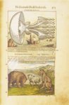 Discorsi di P. A. Mattioli Illustrated by Gherardo Cibo – Aboca Museum – Rari 278 – Biblioteca Alessandrina (Rome, Italy)