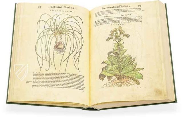 【お年玉セール特価】 Discorsi di P. A. Mattioli Illustrated by Gherardo Cibo 洋書