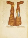 Divine Comedy - Codex Altonensis – Gebr. Mann Verlag – Bibliothek des Gymnasiums Christaneum (Hamburg, Germany)