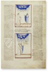 Divine Comedy - Dante Gradenighiano – ms. SC-MS. 1162 (D II 41) – Biblioteca Civica Gambalunga (Rimini, Italy) Facsimile Edition