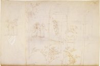 Divine Comedy of Sandro Botticelli – Reg. lat. 1896 – Biblioteca Apostolica Vaticana (Vatican City, State of the Vatican City) Facsimile Edition