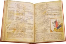 Divine Comedy - Oratoriana Manuscript – Istituto dell'Enciclopedia Italiana - Treccani – C.F. 2. 16 – Biblioteca Oratoriana dei Girolamini (Naples, Italy)