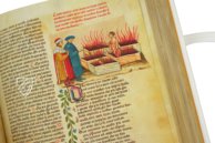 Divine Comedy - Padua 67 Manuscript – Imago – Cod. 67 – Biblioteca del Seminario Vescovile (Padua, Italy)