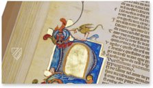 Divine Comedy - Padua 9 Manuscript – Imago – Cod. 9 – Biblioteca del Seminario Vescovile (Padua, Italy)