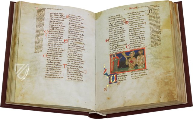 Divine Comedy - Palat. 313 Manuscript – Imago – Ms. Pal. 313 – Biblioteca Nazionale Centrale di Firenze (Florence, Italy)