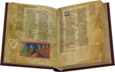 Divine Comedy - Palat. 313 Manuscript – Imago – Ms. Pal. 313 – Biblioteca Nazionale Centrale di Firenze (Florence, Italy)