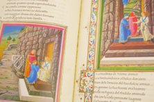 Divine Comedy - Urbinate Manuscript – Biblioteca Apostolica Vaticana – Biblioteca Apostolica Vaticana (Vatican City, State of the Vatican City)