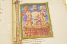 Divine Comedy - Urbinate Manuscript – Biblioteca Apostolica Vaticana – Ms. Urb. lat. 365 – Biblioteca Apostolica Vaticana (Vatican City, Vatican City State)