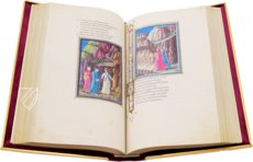 Divine Comedy - Urbinate Manuscript – Franco Cosimo Panini Editore – Ms. Urb. lat. 365 – Biblioteca Apostolica Vaticana (Vatican City, Vatican City State)