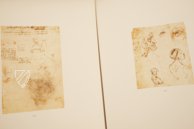 Drawings of Leonardo da Vinci and His circle - American Collections – Giunti Editore – New York Public Library (New York, USA) / Metropolitan Museum of Art (New York, USA) / Getty Museum (Malibu, USA)