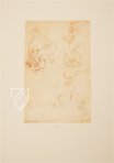 Drawings of Leonardo da Vinci and His circle - American Collections – Giunti Editore – New York Public Library (New York, USA) / Metropolitan Museum of Art (New York, USA) / Getty Museum (Malibu, USA)