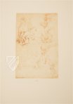 Drawings of Leonardo da Vinci and His circle - American Collections – Giunti Editore – New York Public Library (New York, USA) / Metropolitan Museum of Art (New York, USA) / Getty Museum (Malibu, USA)