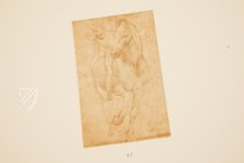 Drawings of Leonardo da Vinci and His circle - American Collections – Giunti Editore – New York Public Library (New York, USA)