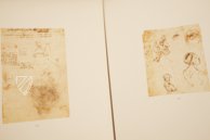 Drawings of Leonardo da Vinci and His circle - American Collections – Giunti Editore – New York Public Library (New York, USA)