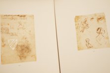 Drawings of Leonardo da Vinci and His circle - American Collections – Giunti Editore – New York Public Library (New York, USA)