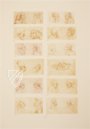Drawings of Leonardo da Vinci and His circle - American Collections – Giunti Editore – New York Public Library (New York, USA)