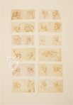 Drawings of Leonardo da Vinci and His circle - American Collections – Giunti Editore – New York Public Library (New York, USA)