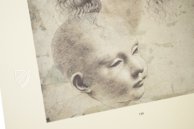 Drawings of Leonardo da Vinci and His circle - British Collections – Giunti Editore – Ashmolean Museum (Oxford, United Kingdom)
 / British Museum (London, United Kingdom)