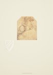 Drawings of Leonardo da Vinci and His circle - British Collections – Giunti Editore – Ashmolean Museum (Oxford, United Kingdom)
 / British Museum (London, United Kingdom)