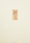 Drawings of Leonardo da Vinci and His circle - British Collections – Giunti Editore – Ashmolean Museum (Oxford, United Kingdom)
 / British Museum (London, United Kingdom)