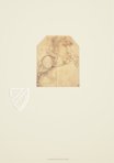Drawings of Leonardo da Vinci and His circle - British Collections – Giunti Editore – British Museum (London, United Kingdom)