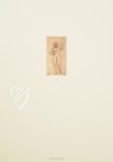 Drawings of Leonardo da Vinci and His circle - British Collections – Giunti Editore – British Museum (London, United Kingdom)