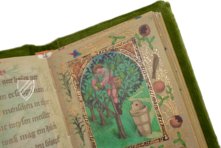 Dublin Wondrous Occurrences – Müller & Schindler – Ms 32, 513 – Irische Nationalbibliothek (Dublin, Ireland)