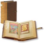 Echternach Pericopes – Faksimile Verlag – ms. 9428 – KBR (Koninklijke Bibliotheek van België