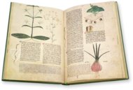 Egerton Tractatus de Herbis – British Library – MS Egerton 747 – British Library (London, United Kingdom)