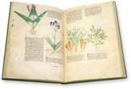 Egerton Tractatus de Herbis – British Library – MS Egerton 747 – British Library (London, United Kingdom)