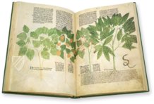 Egerton Tractatus de Herbis – British Library – MS Egerton 747 – British Library (London, United Kingdom)