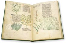 Egerton Tractatus de Herbis – The Folio Society – MS Egerton 747 – British Library (London, United Kingdom)