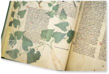 Egerton Tractatus de Herbis – The Folio Society – MS Egerton 747 – British Library (London, United Kingdom)