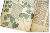 Egerton Tractatus de Herbis – The Folio Society – MS Egerton 747 – British Library (London, United Kingdom)