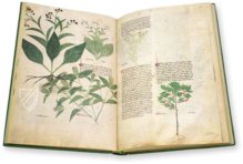 Egerton Tractatus de Herbis – The Folio Society – MS Egerton 747 – British Library (London, United Kingdom)