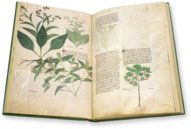 Egerton Tractatus de Herbis – The Folio Society – MS Egerton 747 – British Library (London, United Kingdom)